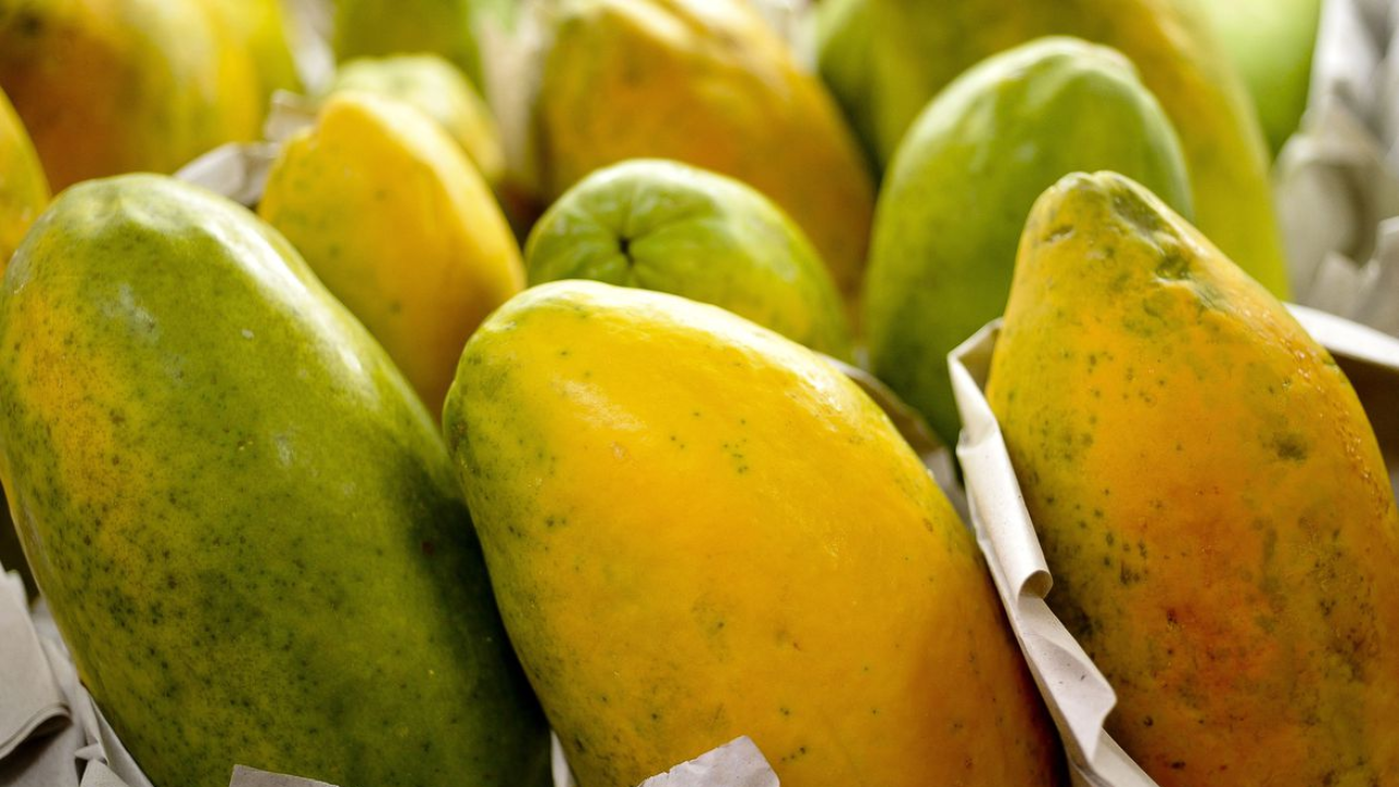 Arquivo/Agência Brasil