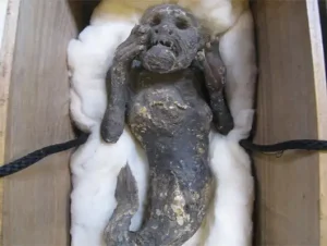 Sereia mumificada do Japão: Cientistas resolvem mistério