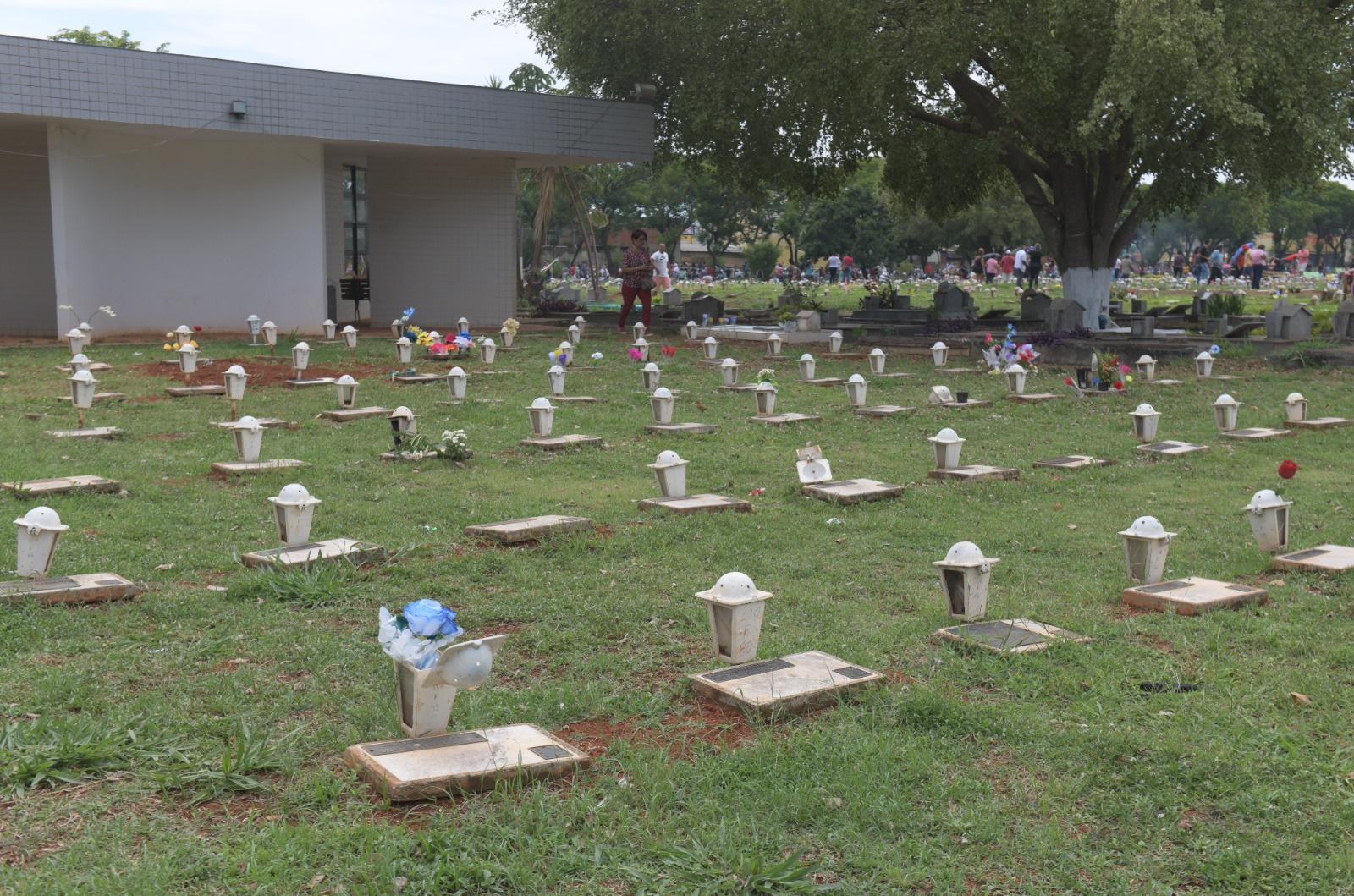 O recadastramento anual é uma exigência para que as empresas funerárias continuem operando | Foto: Jhonatan Vieira/ Sejus