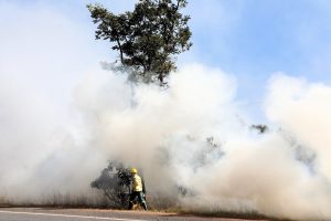 Decreto emergencial possibilita a contratação de 150 brigadistas para combater focos de incêndios florestais no DF | Foto: Paulo H. Carvalho/Agência Brasília