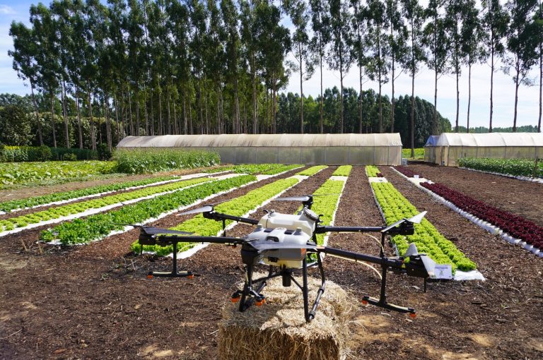 Nesta edição da AgroBrasília, a Emater-DF estruturou o espaço para visitação dos agricultores, com inovações voltadas para o futuro da agricultura no Distrito Federal | Foto: Divulgação/Emater-DF
