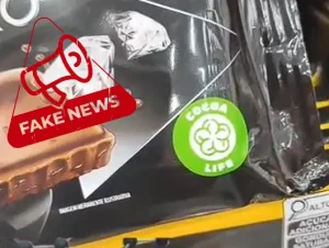 Chocolate com Grafeno no Brasil: Verdade ou Fake News?