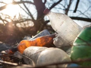 GDF retira 55 mil toneladas de resíduos em 2024