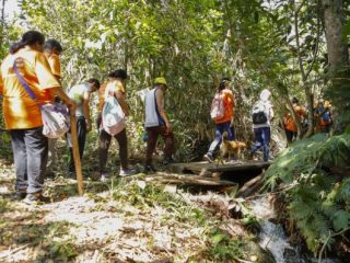 Natureza como terapia: Cerrado auxilia na recuperação emocional