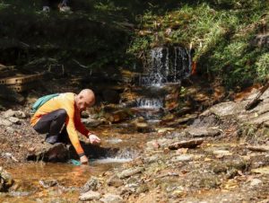 Natureza como terapia: Cerrado auxilia na recuperação emocional 1 Design sem nome 2025 03 28T004633.021