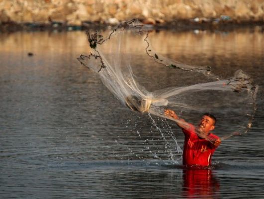 Lago Paranoá: Diálogo Ambiental Define Futuro da Pesca