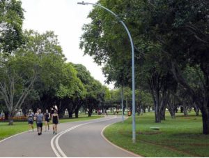 Cidade-parque, Brasília é a quinta capital mais arborizada do país