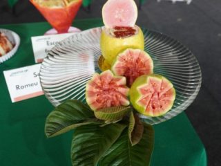 Concurso de Receitas com Goiaba chega à 5ª edição neste sábado (5)