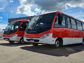  Zebrinhas no Reforço na Mobilidade em Itapoã