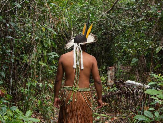 Indígenas de14 Aldeias Bloquearam rodovia contra PL da devastação