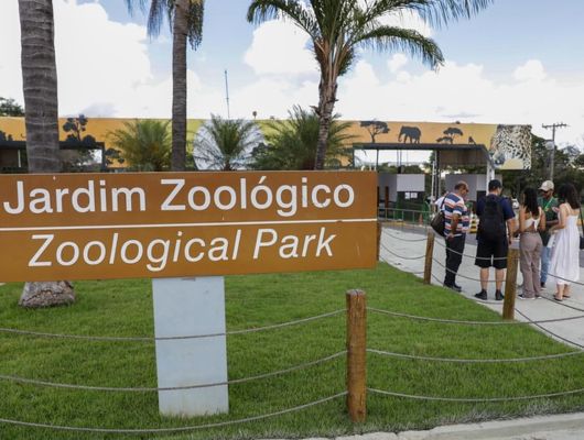 Zoológico de Brasília confirma novo caso de gripe aviária