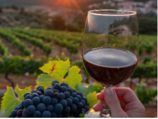 Vinhos Brasileiros Brilham no IWSC 2025 com 38 rótulos nacionais premiados. 8 Vinhos Brasileiros Brilham no IWSC 2025 com 38 rótulos nacionais premiados.