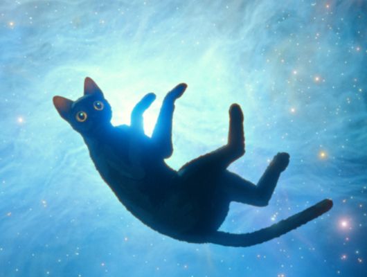 CCBB Brasília promove mostra de cinema infanto-juvenil: 27/01 a 8/02