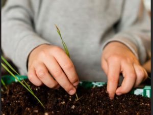 Oficinas Brincar de Plantar no Boulevard Shopping Brasília segue até 31 de janeiro 9 Design sem nome 56