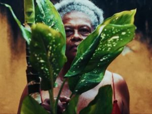 Design sem nome 16 1