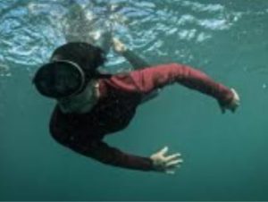 Design sem nome 17 1