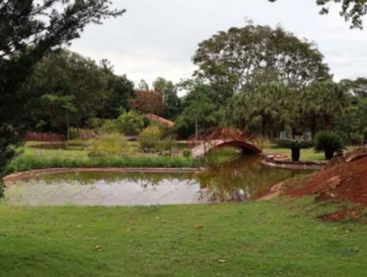Cidade-parque, Brasília é a quinta capital mais arborizada do país