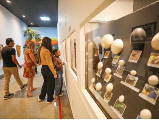 Museu de Ciências Naturais do Zoológico de Brasília é reaberto com quase 200 peças no acervo