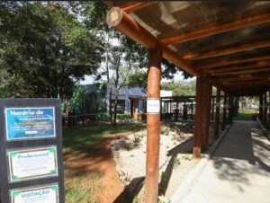 Museu de Ciências Naturais do Zoológico de Brasília é reaberto com quase 200 peças no acervo 4 Design sem nome 43