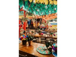 Arraiá Casapark celebra tradição junina com forró nos dias 26 e 27 de junho 3 Design sem nome 15