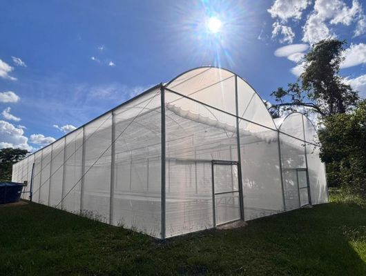 Jardim Botânico de Brasília amplia estrutura para pesquisa, educação ambiental e visitação