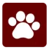 ico-pets-24