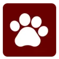 ico-pets-24
